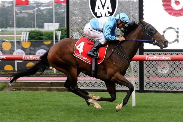 Filly Embraces Valley Black-type test